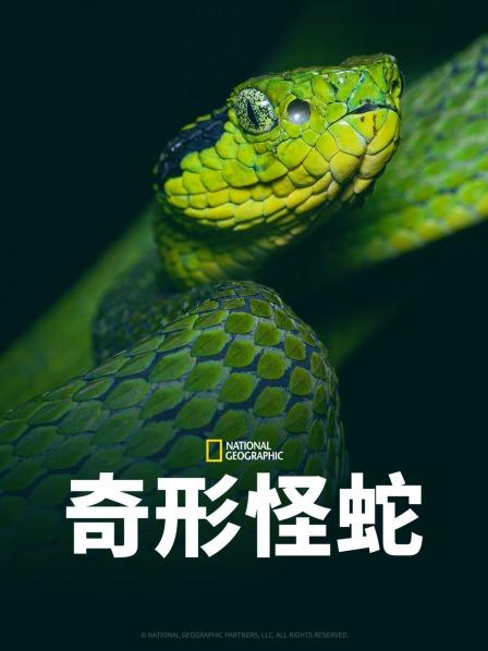 91Porn《奇形怪蛇》免费在线观看